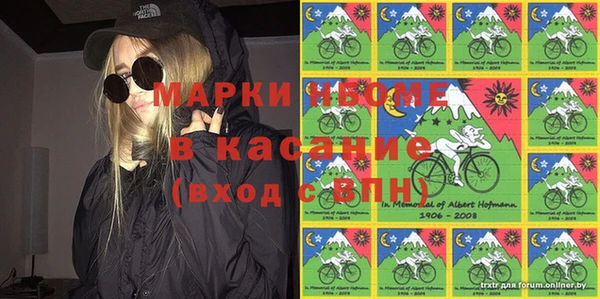 ГАЛЛЮЦИНОГЕННЫЕ ГРИБЫ Аркадак