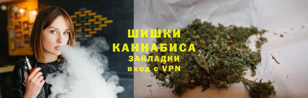 ГАЛЛЮЦИНОГЕННЫЕ ГРИБЫ Аркадак