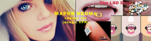 ГАЛЛЮЦИНОГЕННЫЕ ГРИБЫ Аркадак