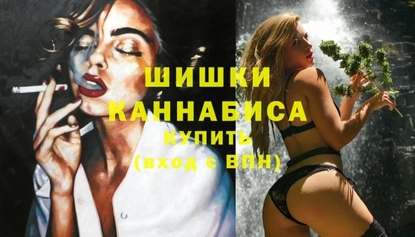 ГАЛЛЮЦИНОГЕННЫЕ ГРИБЫ Аркадак