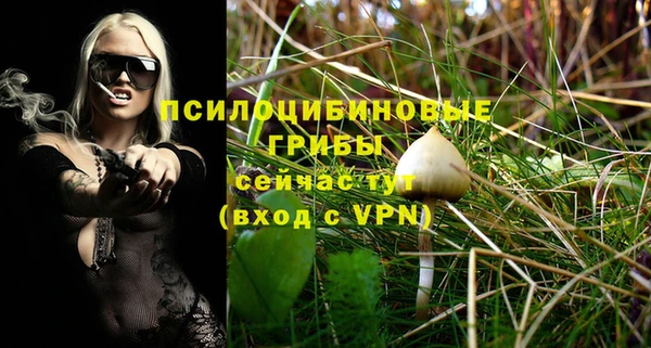 mdpv Арсеньев