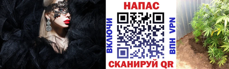 где купить наркоту  Спас-Деменск  Конопля Ganja 